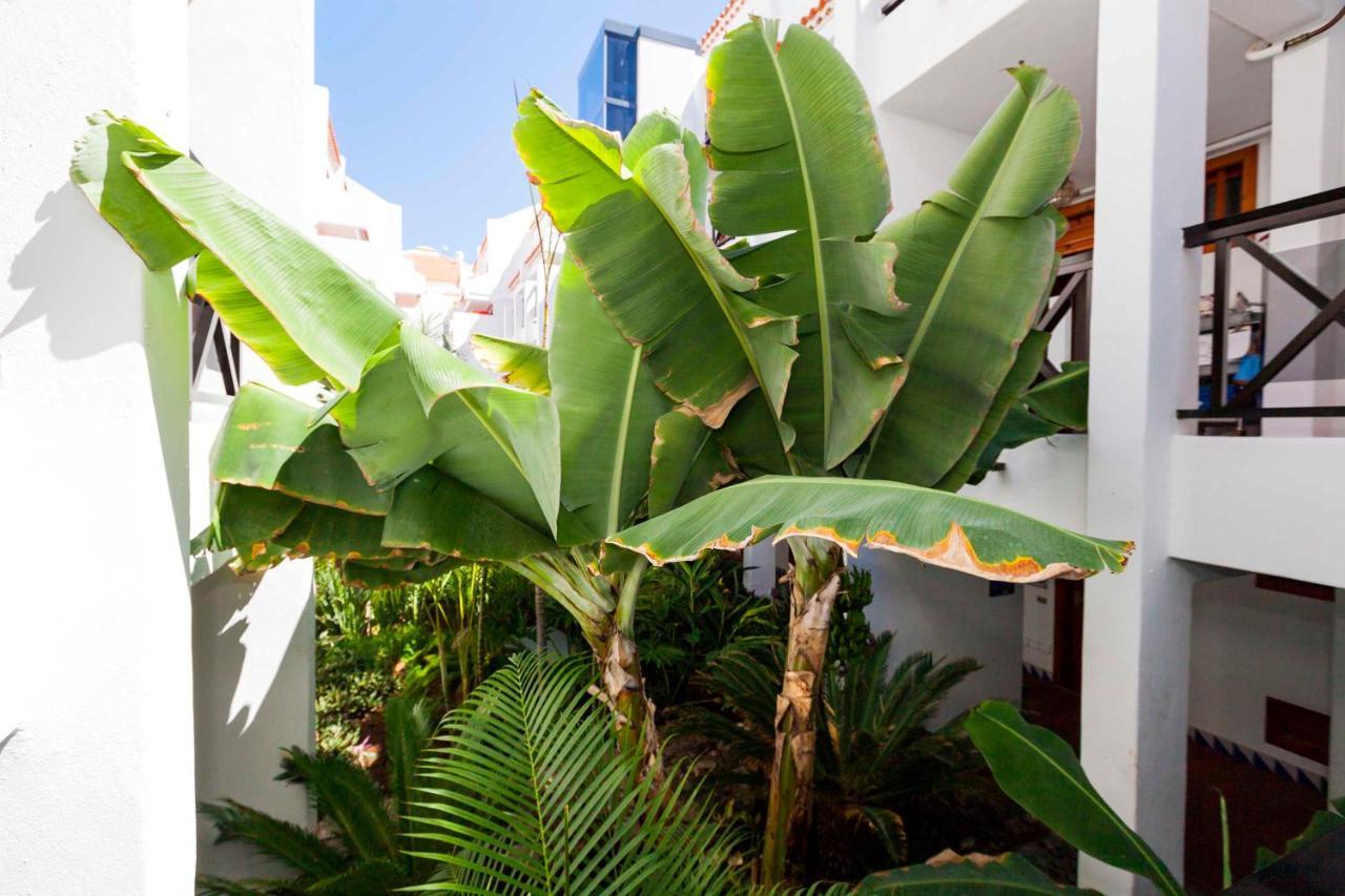 Estudio 1 Sara En Playa De Las America - Sara Vacation Costa Adeje (Tenerife) Exterior photo